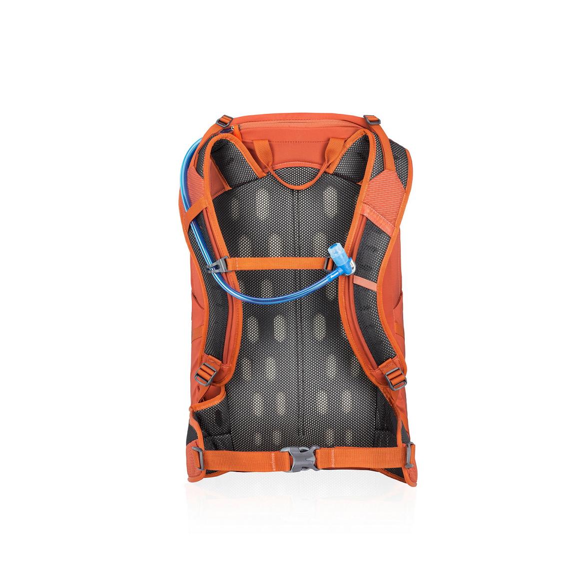 Gregory Inertia 30 H2O Hiking Backpack Men Orange Ireland 2719FLYQA